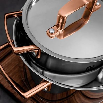 Jogo de Panelas Inox 5 Peças Zwilling Bellasera com Design Moderno e Performance Profissional