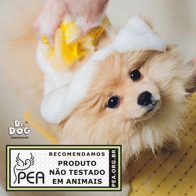 Tapete Higiênico Pet Lavável Reutilizável - Absorvente e Impermeável Para Cães e Gatos – Antivazamento 70x50cm