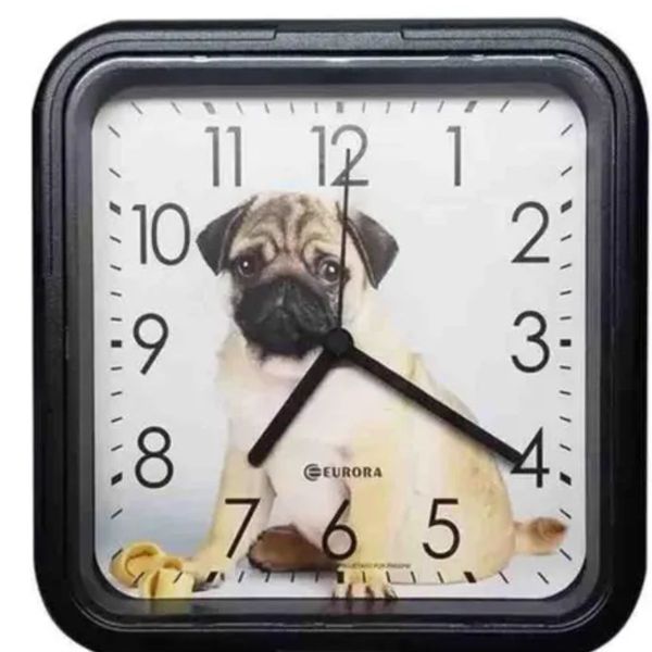 17601232790765 17601232790765