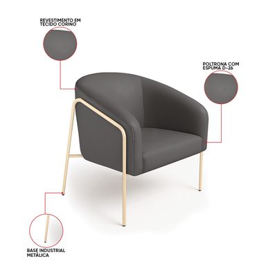 Poltrona Sala Decorativa Kit 2 Stella Base Alta Tubo Champanhe Sintético Grafite D03 - D'Rossi