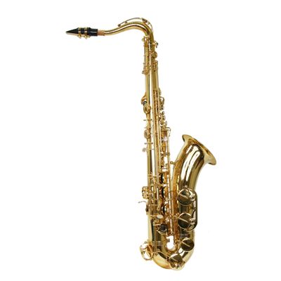 Kit Saxofone Tenor TS 200 Laqueado New York + Estante de Partitura S1
