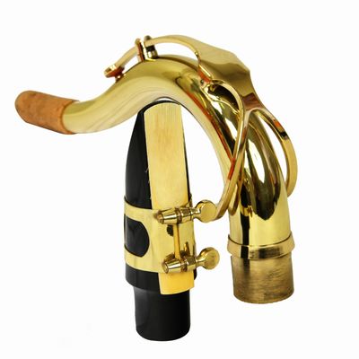 Kit Saxofone Tenor TS 200 Laqueado New York + Estante de Partitura S1