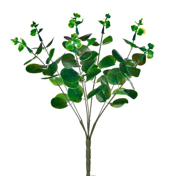 Buquê Grillo Eucalipto X7 Verde Buquê Grillo Eucalipto X7 Verde