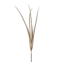 Haste Capim Grillo com Glitter Dourado
