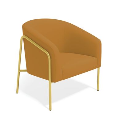 Poltrona Sala Decorativa Kit 2 Stella Base Alta Tubo Dourado Veludo Mostarda D03 - D'Rossi