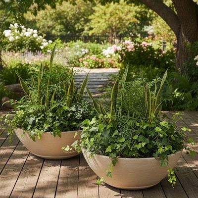 Kit 2 Vasos Indi para Folhagem  Flores 17cm Polietileno Tramontina Jardim Varanda