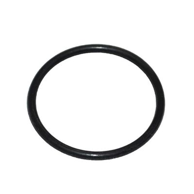 Anel Vedação Coletor Admissão Descarga Somar Lus (Oring)