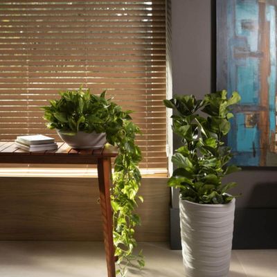 Vaso para Flor Plantas Folhagens 17cm Polietileno Indi Tramontina Jardim Varanda