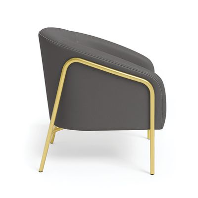 Poltrona Sala Decorativa Kit 2 Stella Base Alta Tubo Dourado Sintético Grafite D03 - D'Rossi