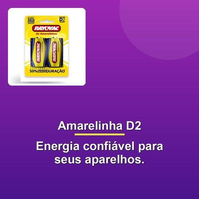 Pilha Comum Grande D2