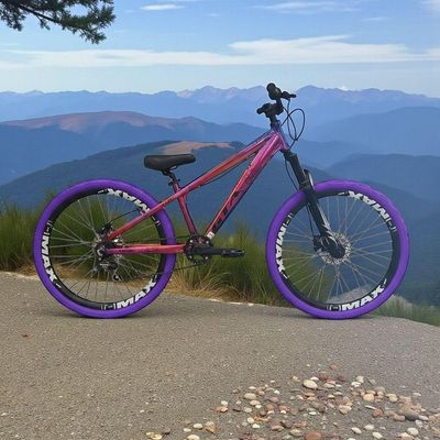 Bicicleta Aro 26 Gta Rebel Freeride Single Cubo K7 Barulhento Freio Hidraulico Aro Vmaxx Pneu Flame Camaleão