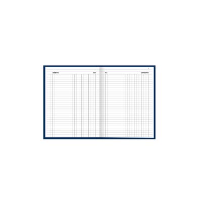Livro Caixa Tilibra Capa Dura Grande com 100 Folhas 218x319mm