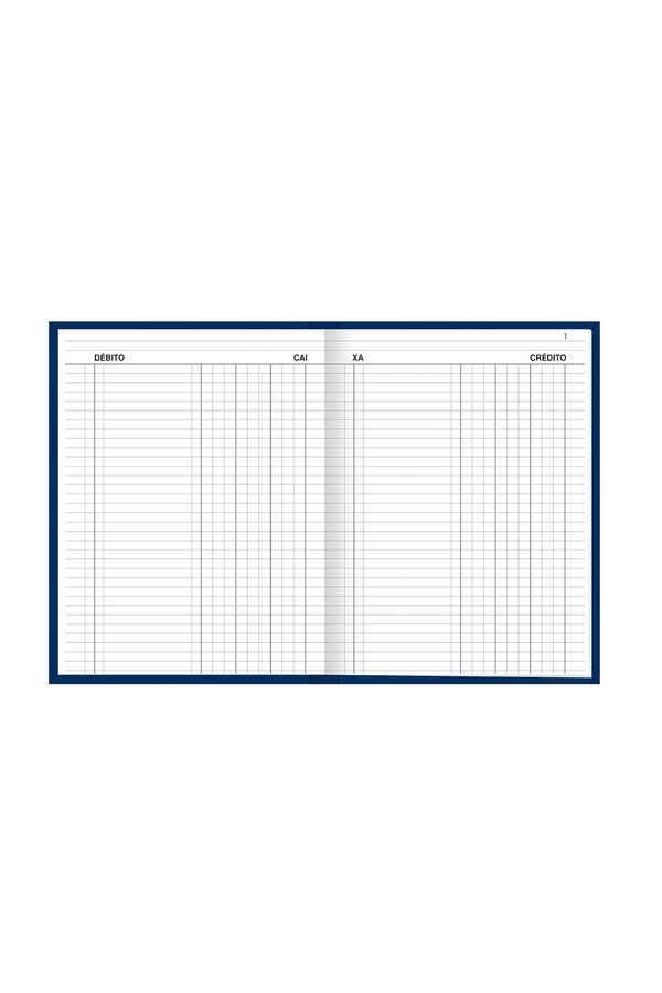 Livro Caixa Tilibra Capa Dura Grande com 100 Folhas 218x319mm