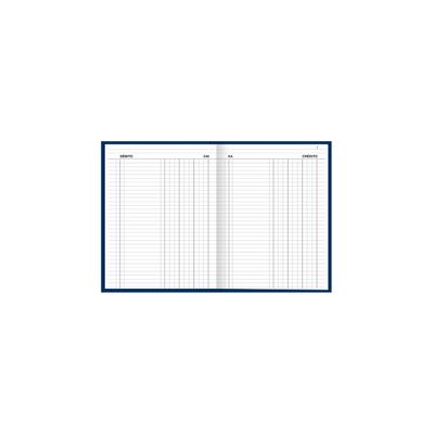 Livro Caixa Tilibra Capa Dura Grande com 100 Folhas 218x319mm
