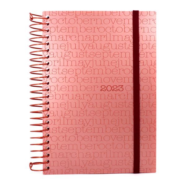 Agenda Confetti Espiral Clássica Meses - Item Sortido
