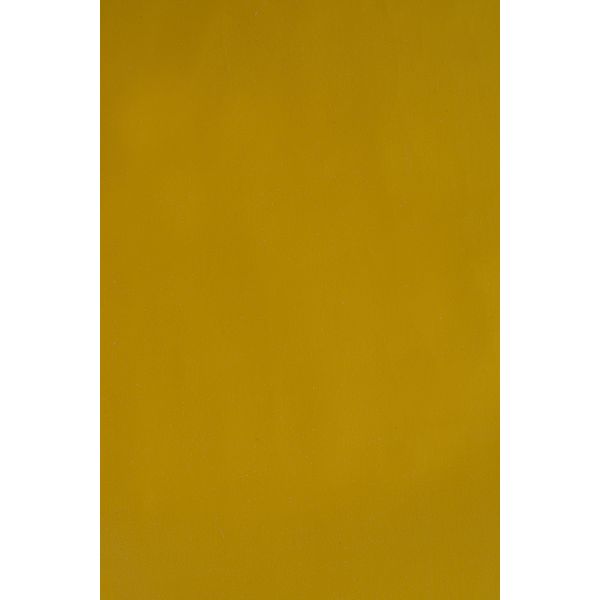 Papel Couchê Reipel Amarelo 50x60cm com 2 Folhas