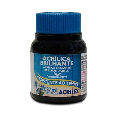 Tinta Acrílica Brilhante 30ml Preto