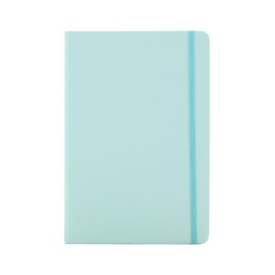 Caderneta Le com Pauta Brochura Capa Dura Cacto 160 Folhas 21x14cm - Item Sortido