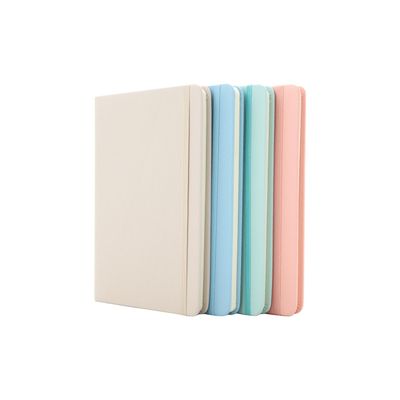 Caderneta Le com Pauta Brochura Capa Dura Cacto 160 Folhas 21x14cm - Item Sortido