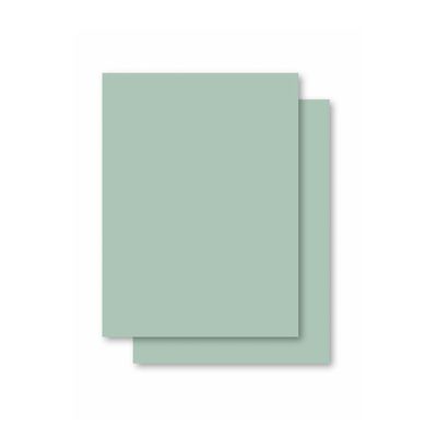 Papel Cartolina Jandaia Verde 50x66cm 140g