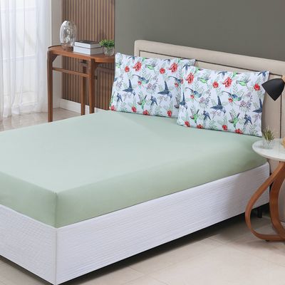 Jogo de Cama Lençol Sonho Bom Casal em Malha Algodão -  Verde - 100% Algodão