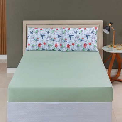 Jogo de Cama Lençol Sonho Bom Casal em Malha Algodão -  Verde - 100% Algodão