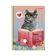 Caderno Universitario 1 Matéria Smoogies Pet Tilibra