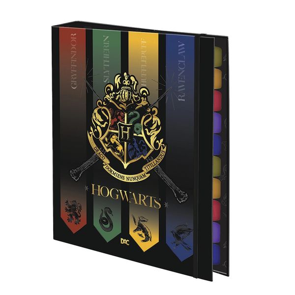 Caderno Argolado Universitário DAC Harry Potter 48 Folhas