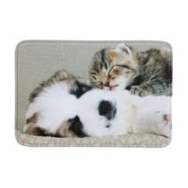 Tapete de Entrada Grand Pet Cochilo Bege 40cm x 60cm Attuale Corttex