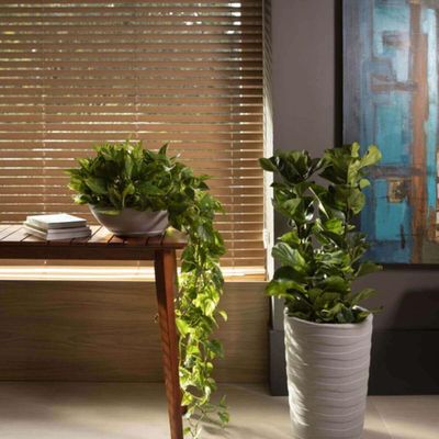 Kit 4 Vasos Decorativos para Plantas Flores 17cm Polietileno Areia Tramontina Jardim Varanda