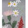 Caminho de Mesa 40x150cm Maldivas Jolitex