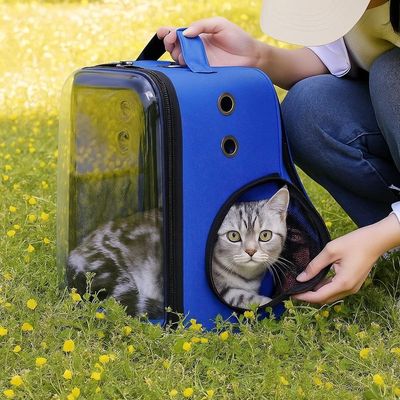 Mochila Transparente Astronauta Para Pet Cachorro Gato Bolsa Transporte Passeio Viagem Azul