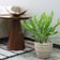 Kit 4 Vasos de Flor 38cm Inca Tramontina Polietileno Granito Areia Decorativo Plantas Folhagens