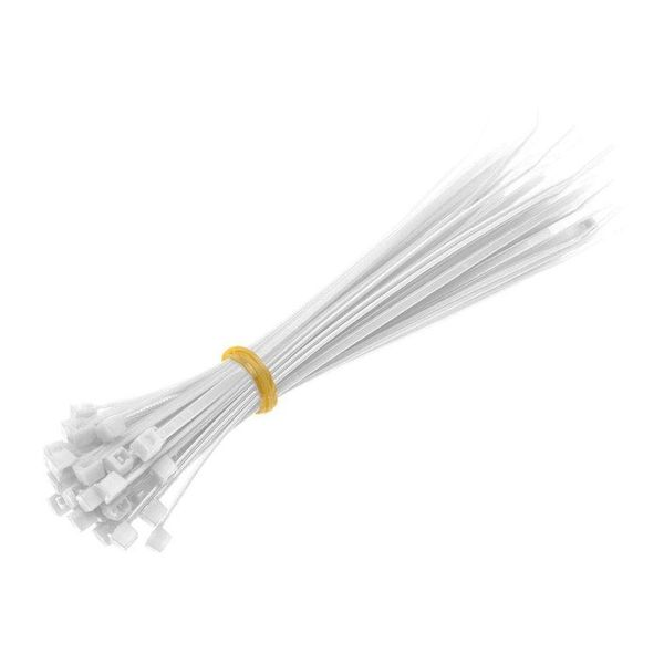 17670082871236 17670082871236