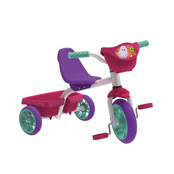 Triciclo Bandy Bandeirante com Cestinha