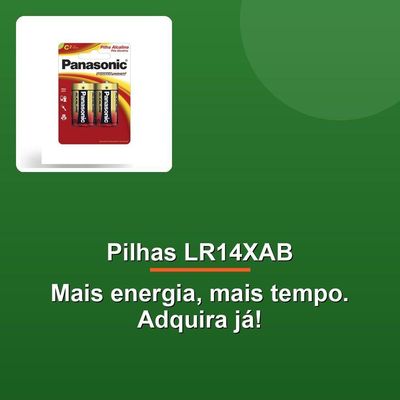 Pilha Alcalina C Lr14xab C-2