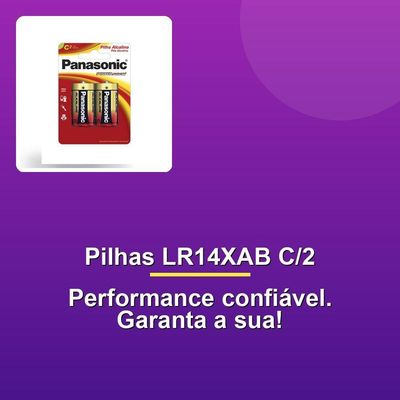 Pilha Alcalina C Lr14xab C-2