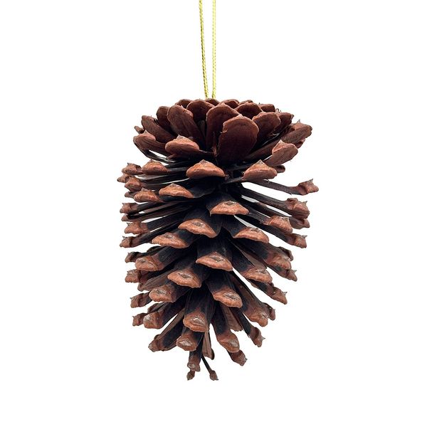 Pinha Natural 10cm CV244441 Cazza Pinha Natural 10cm CV244441 Cazza