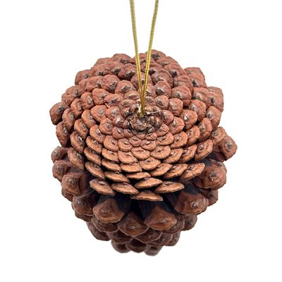Pinha Natural 10cm CV244441 Cazza