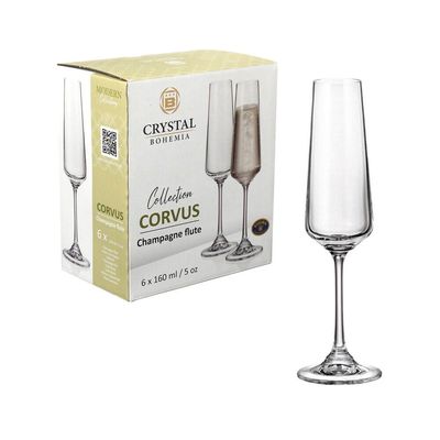 Conjunto de Taças para Champanhe Corvus em Cristal 160 ml 6 Peças Hauskraft Transparente