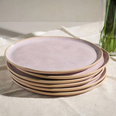 Conjunto de Pratos Rasos Bio Litchi 27,5cm 6 Peças Porto Brasil Rosa