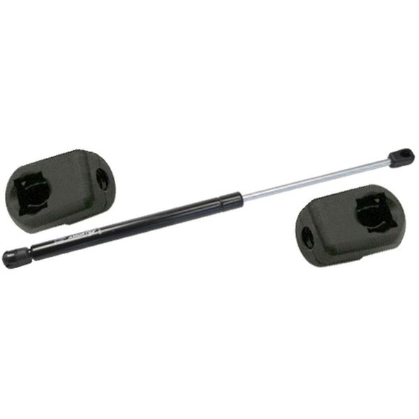 17691598804795 17691598804795