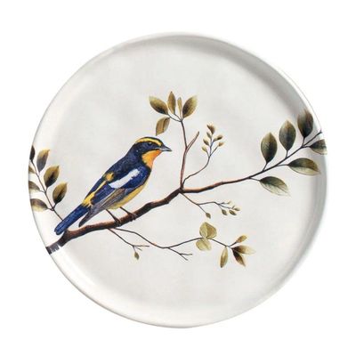 Aparelho De Jantar 30 Peças Oceano + Birdy Porto Brasil