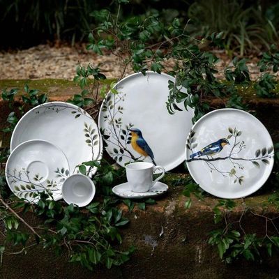 Conjunto De Pratos Rasos 06 Peças Bio Birdy Porto Brasil