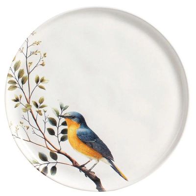 Conjunto De Pratos Rasos 06 Peças Bio Birdy Porto Brasil