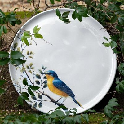 Conjunto De Pratos Rasos 06 Peças Bio Birdy Porto Brasil