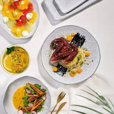 Aparelho De Jantar 30 Peças Orgânico Echo Porto Brasil