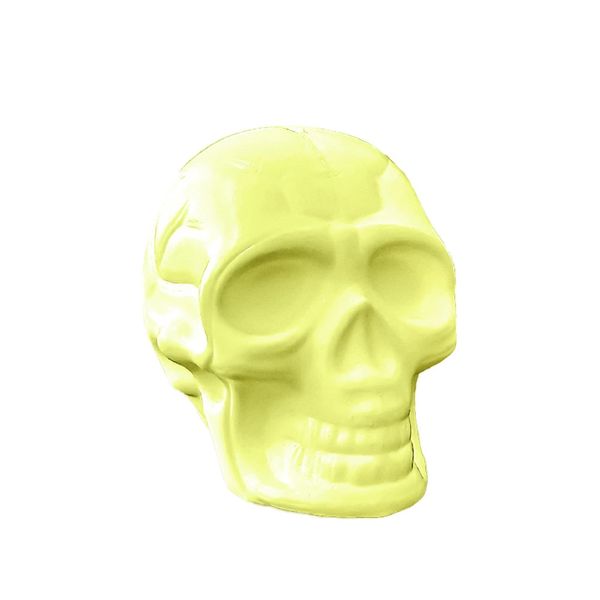 Kit Mini Crânio Brasilflex Neon com 6 Unidades Kit Mini Crânio Brasilflex Neon com 6 Unidades