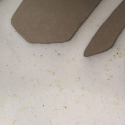 Conjunto De Pratos De Sobremesa 04 Peças Orgânico Eco Pampa Porto Brasil