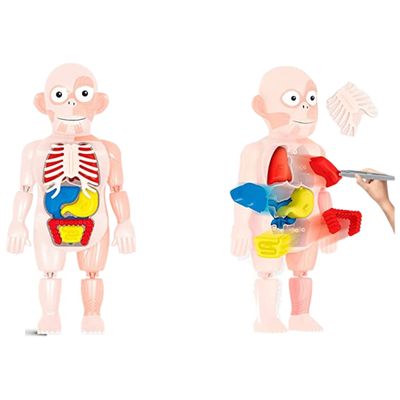 Brinquedo Kit Médico Corpo Humano - Toyng